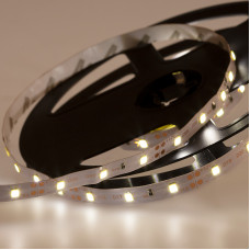 LED лента открытая, 8 мм, IP23, SMD 2835, 60 LED/m, 6500K, 12 V, цвет свечения белый